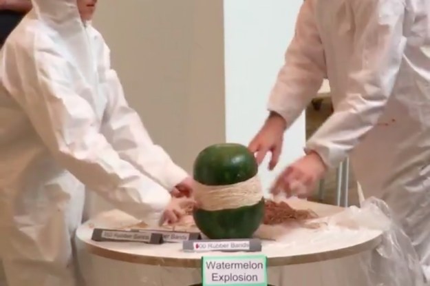 this-exploding-watermelon-was-facebook-lives-bigg-2-3189-1460155563-0_dblbig