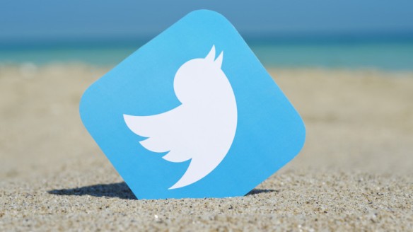 twitter-bird-logo-beach-ss-1920-800x450