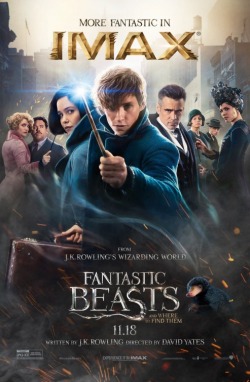 fantastic_beasts_and_where_to_find_them_ver16